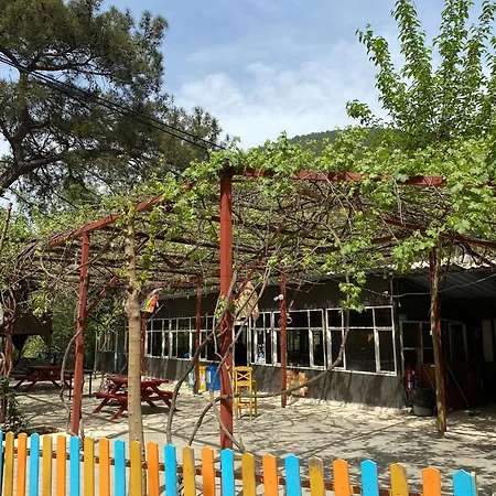 Olympos Camlik Pension